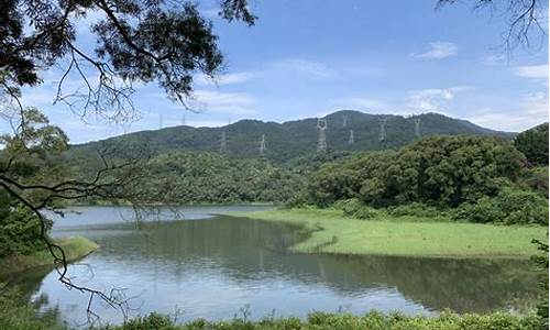 厦门天竺山_厦门天竺山森林公园