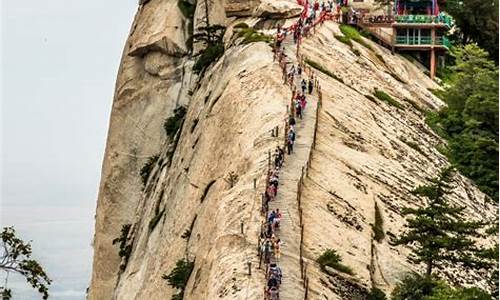 华山是哪个省市的旅游景点_华山是哪个省市的旅游景点门票多少钱