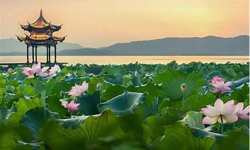杭州西湖一日游跟团_杭州西湖一日游跟团多少钱