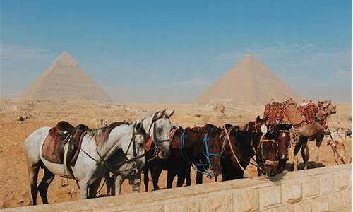 去埃及旅游需要多少钱_去埃及旅游需要多少钱跟团