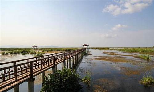 崇明岛一日游怎么玩_崇明岛一日游怎么玩最好